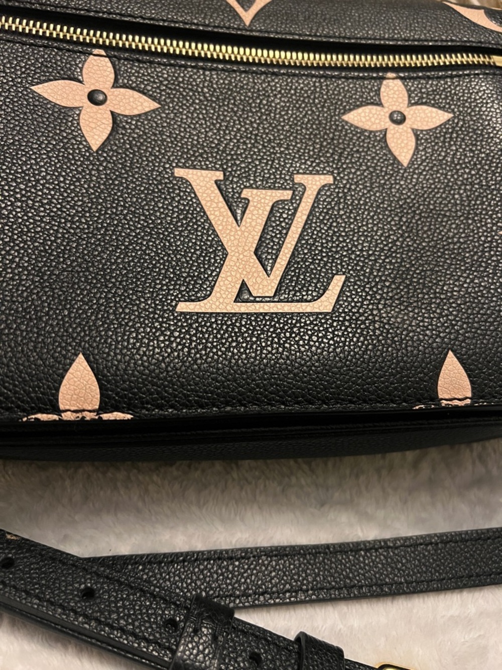 Louis Vuitton LV Pochette Métis - Picture 4 of 16